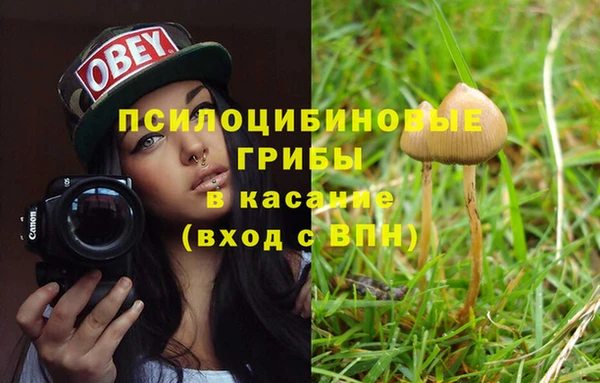 не бодяженный Дмитриев