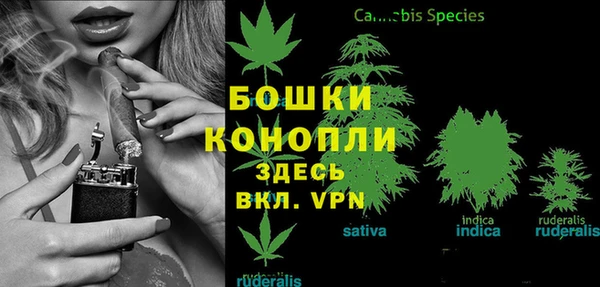 не бодяженный Дмитриев